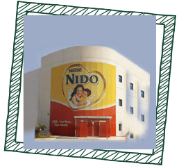 nido 2008