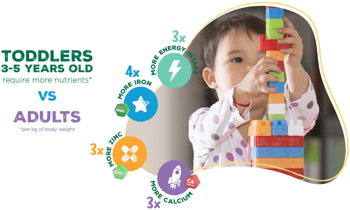 Toddlers 3 to 5 years old require more nutrients compared to adults